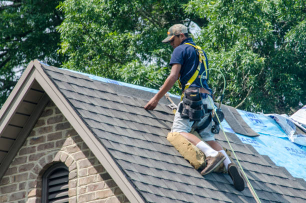 Best Roof Gutter Cleaning  in Wanamingo, MN